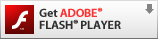 Adobe Flash Playerをインストール